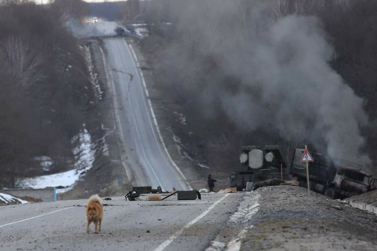 Потери россии на украине фото